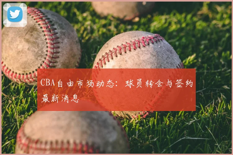 CBA自由市场动态：球员转会与签约最新消息