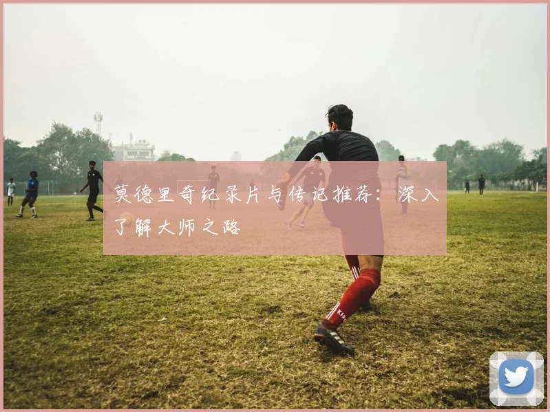 莫德里奇纪录片与传记推荐:深入了解大师之路